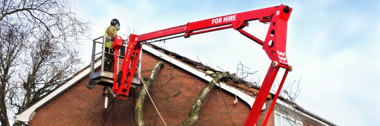 Storm Damage – How to recover?